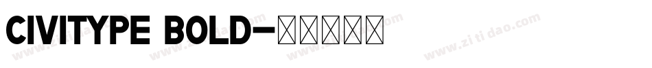 Civitype Bold字体转换